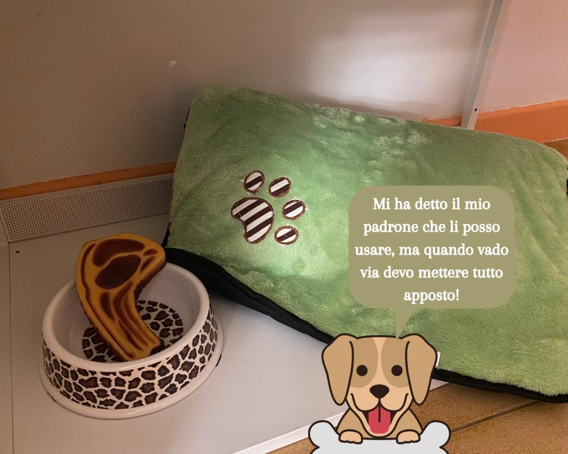 Coolarthome パルマ エクステリア 写真